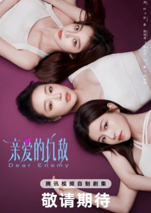 Dear Enemy (2025) คู่รักคู่แค้น (ซับไทย)